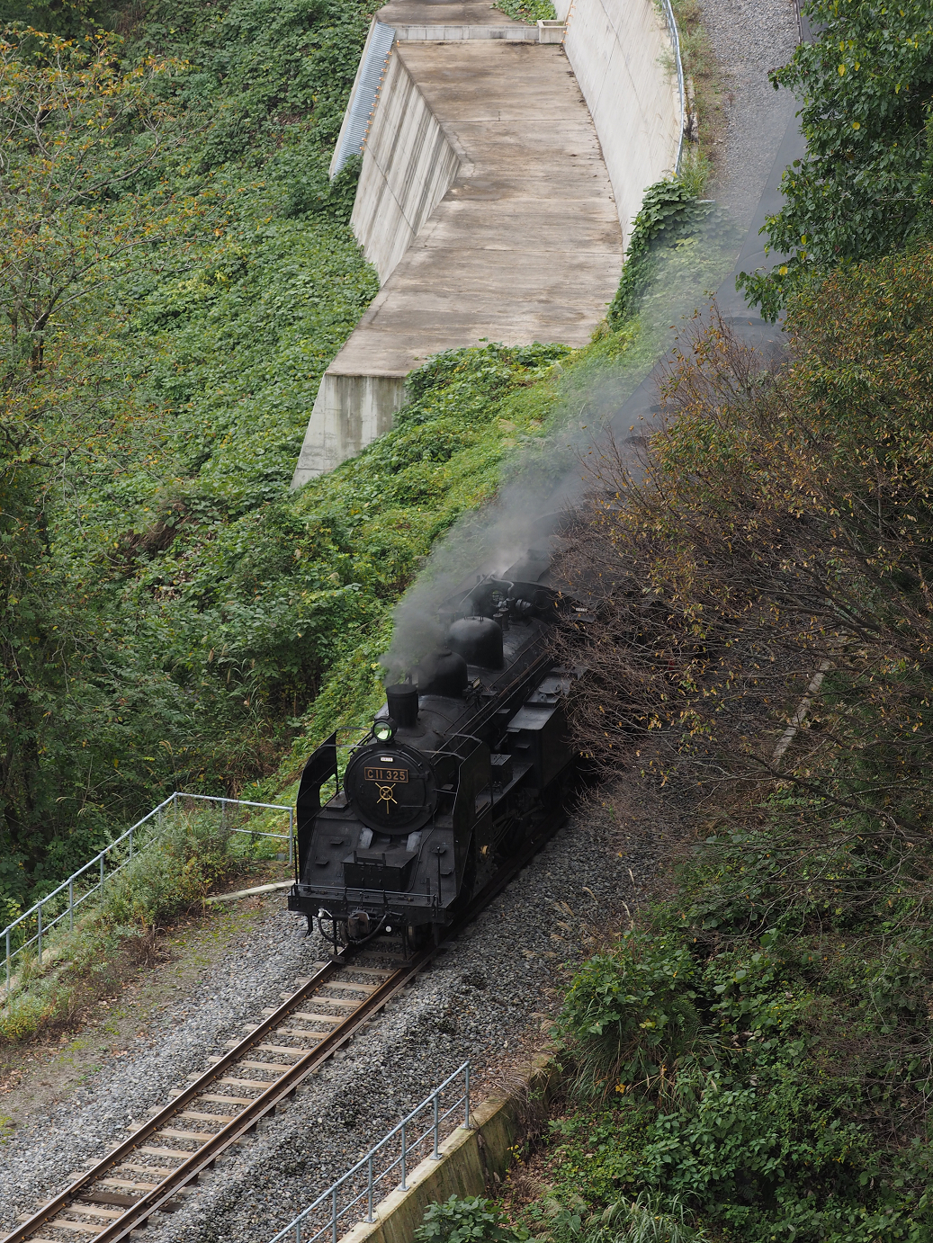 PA190203.jpg