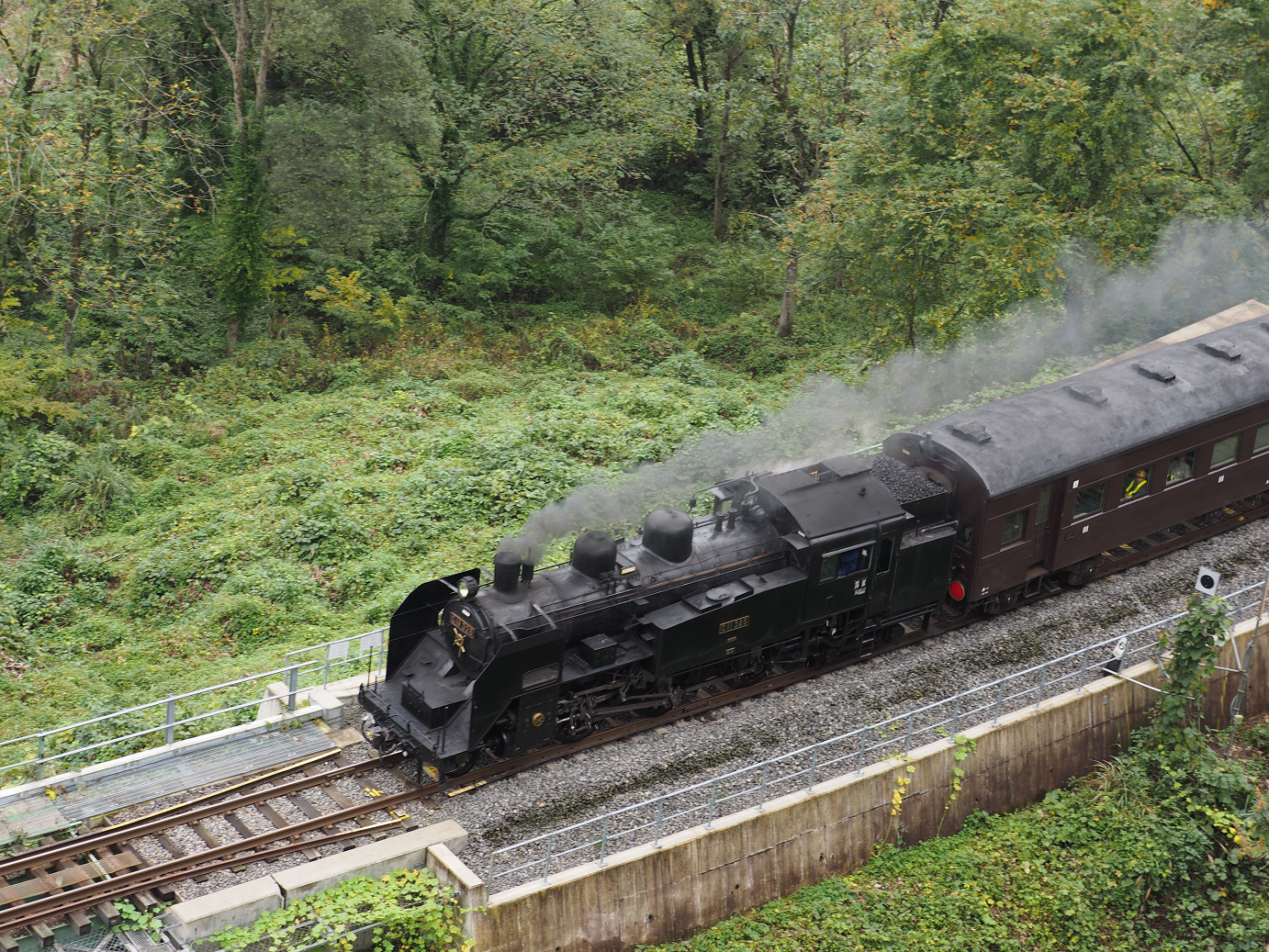 PA190214.jpg