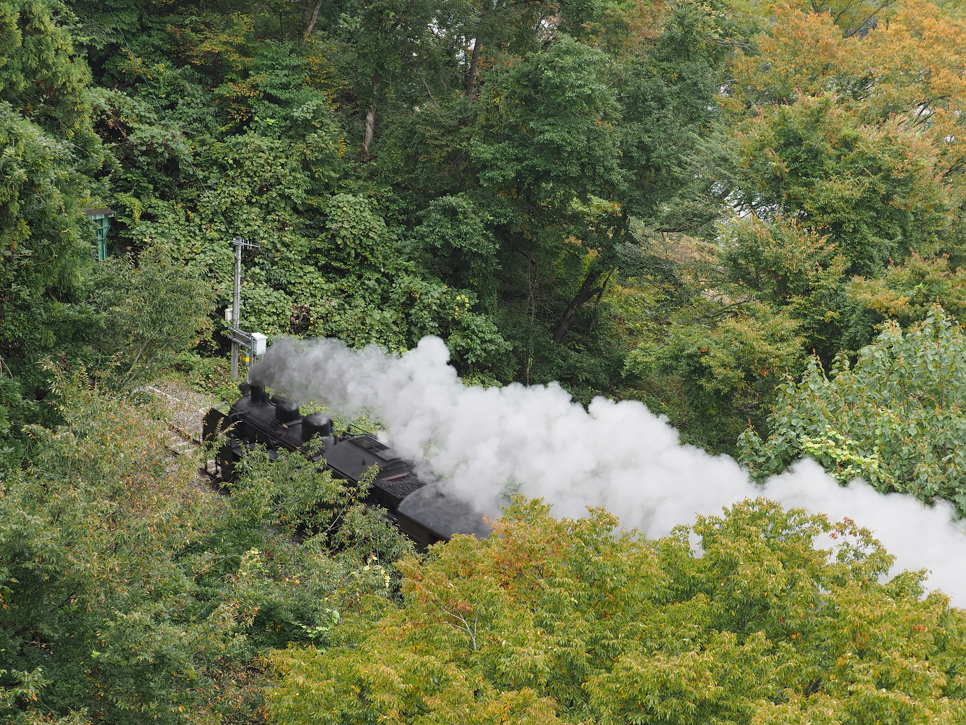 PA190225.jpg