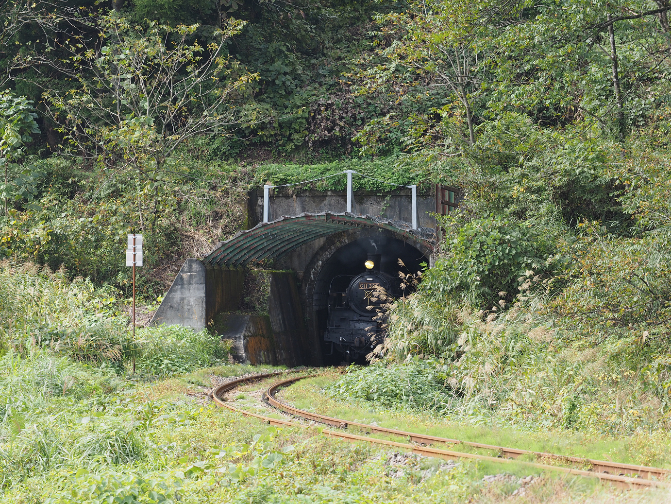 PA190230.jpg