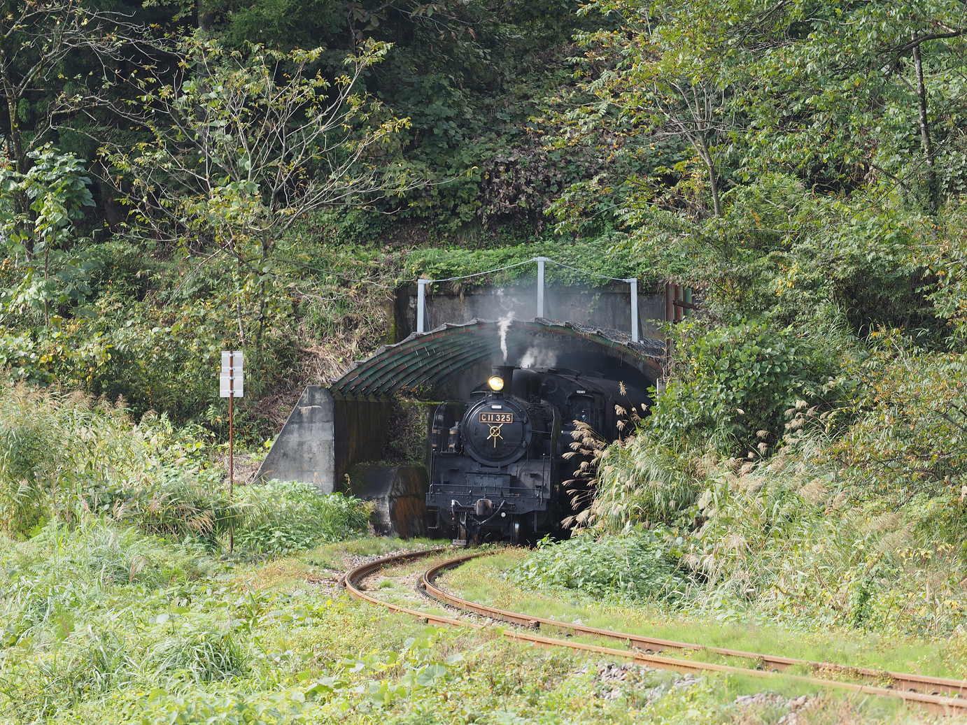 PA190234.jpg