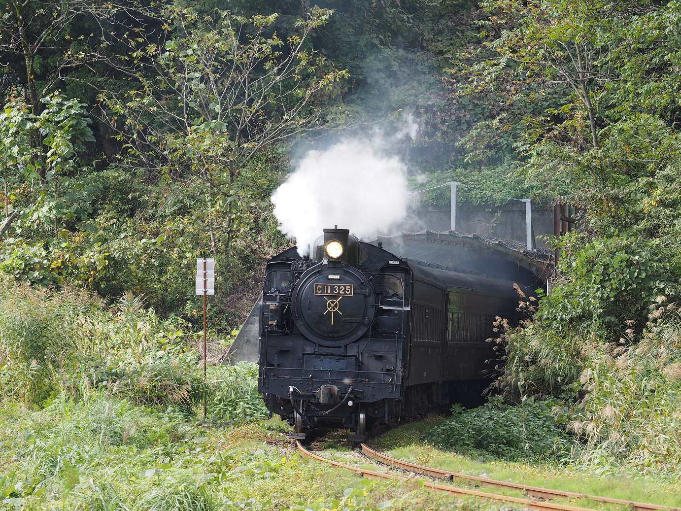 PA190251.jpg