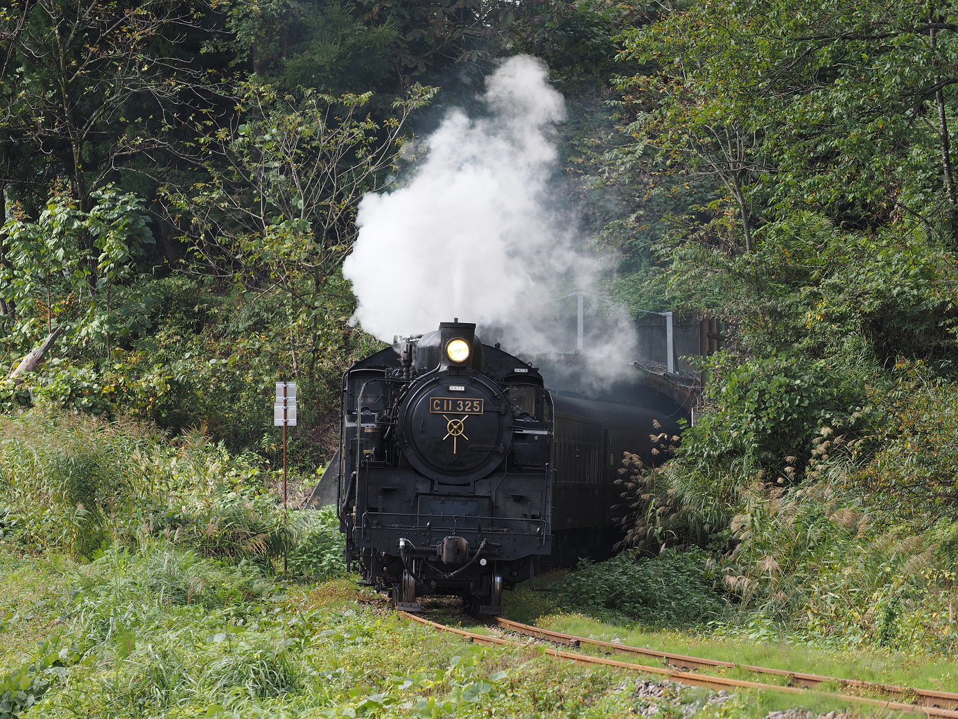 PA190255.jpg