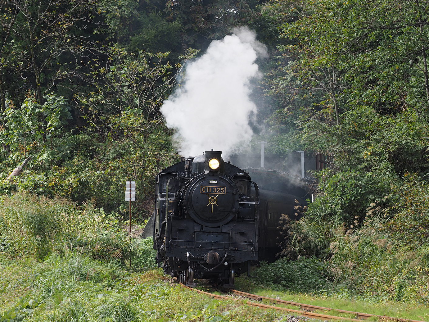 PA190259.jpg