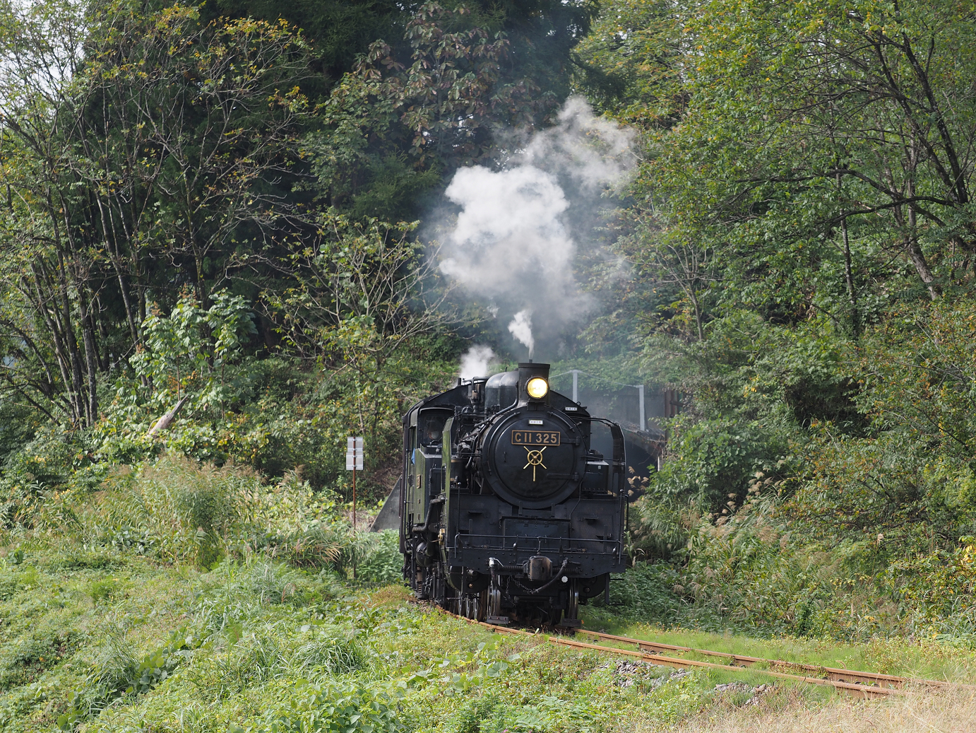 PA190262.jpg