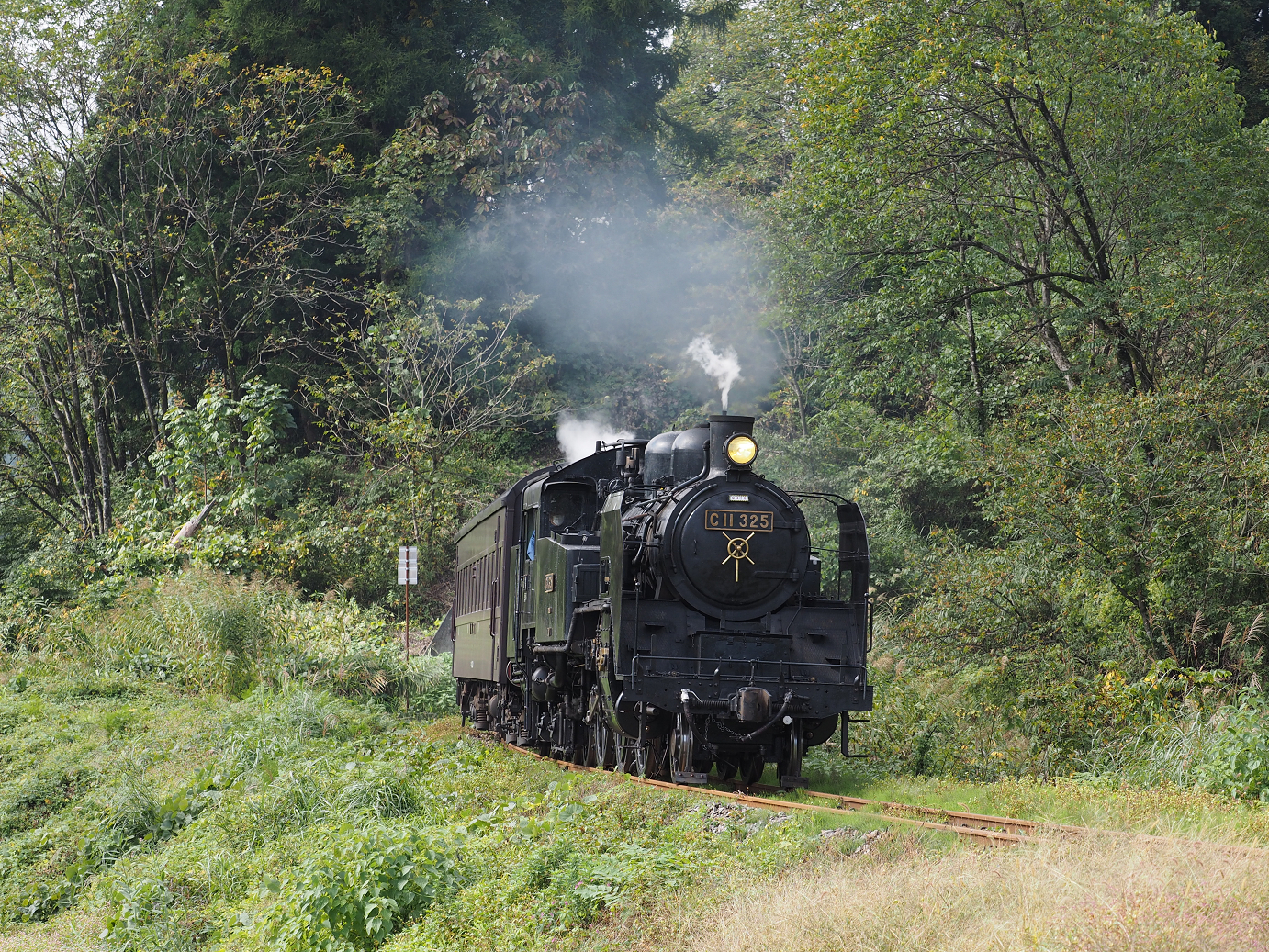 PA190263.jpg