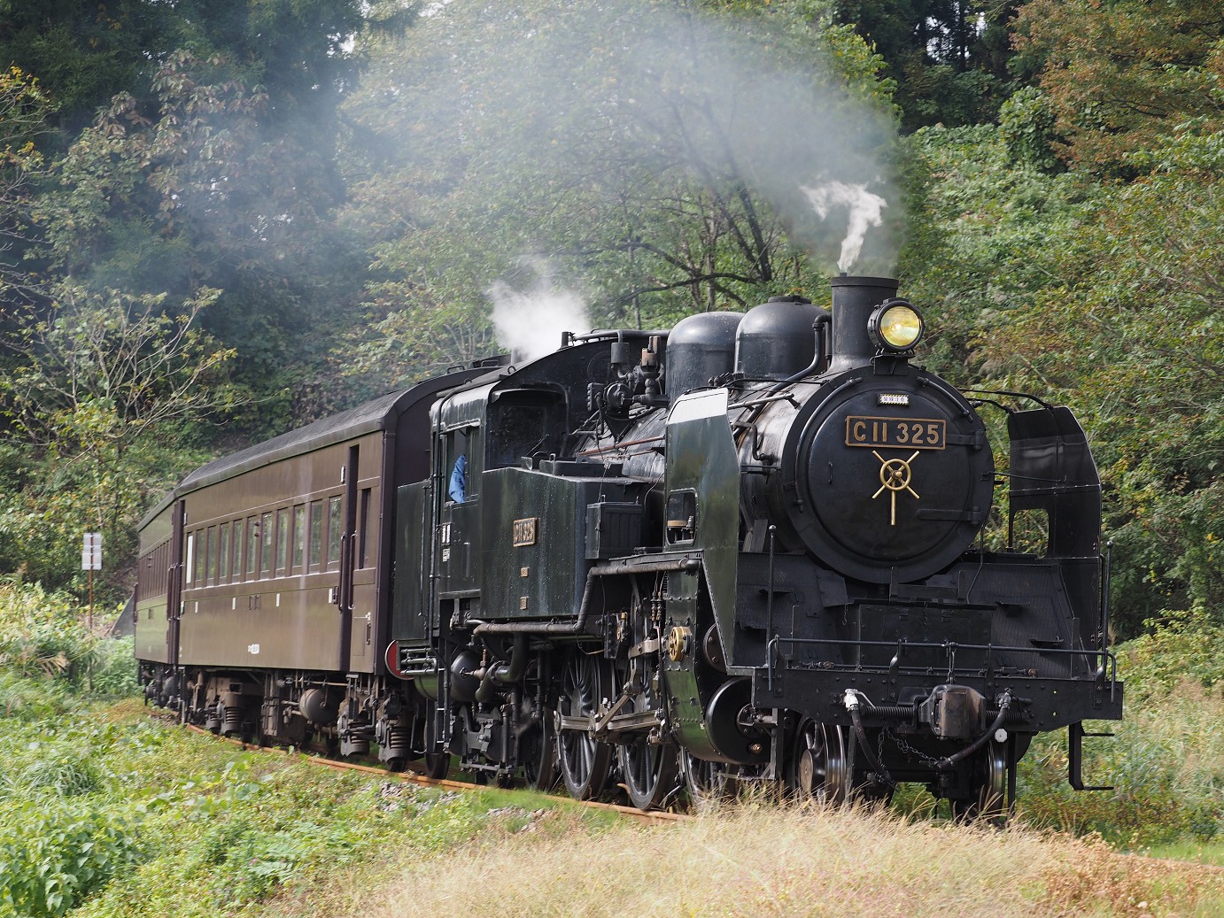 PA190264.jpg