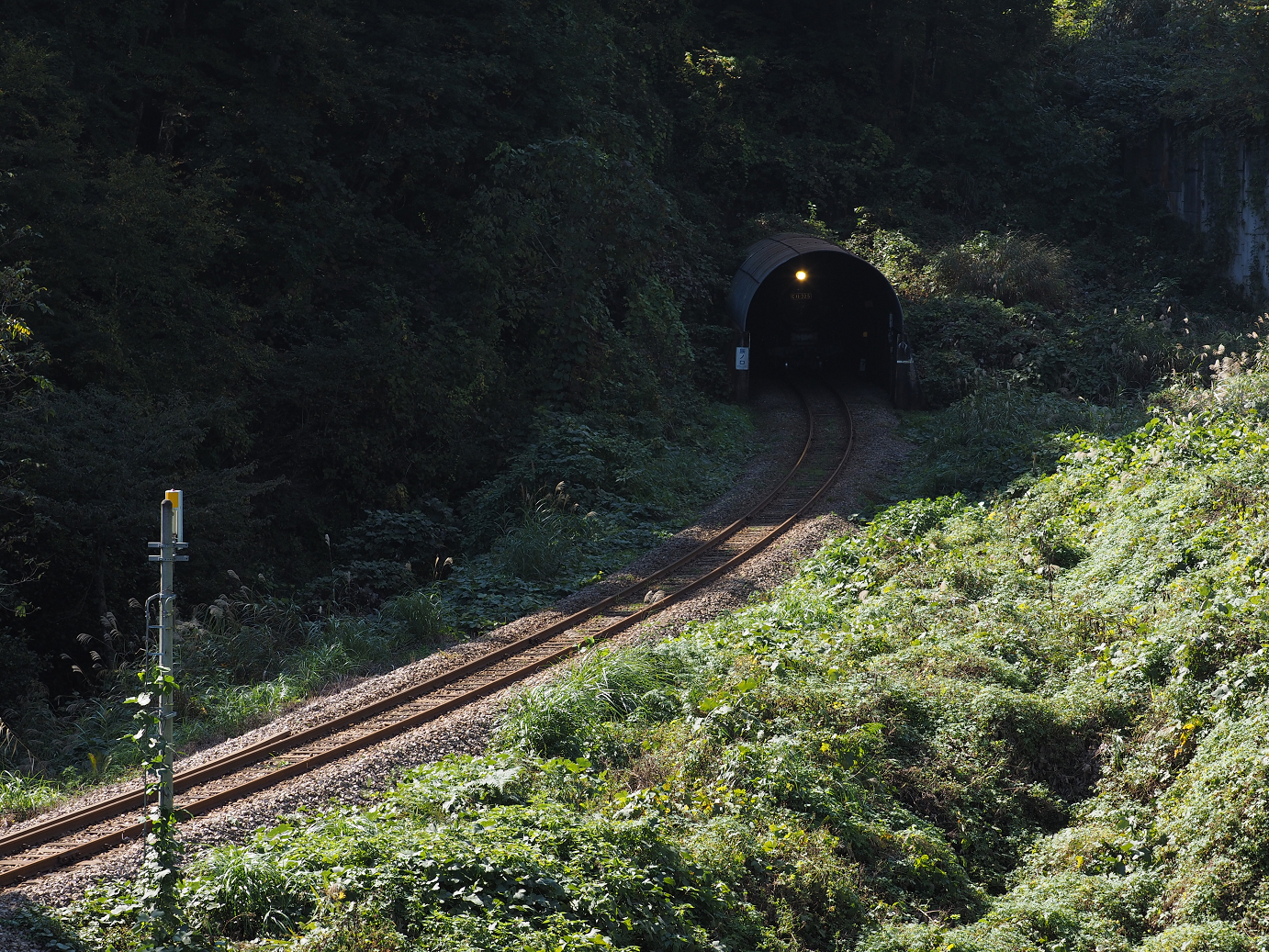 PA190265.jpg