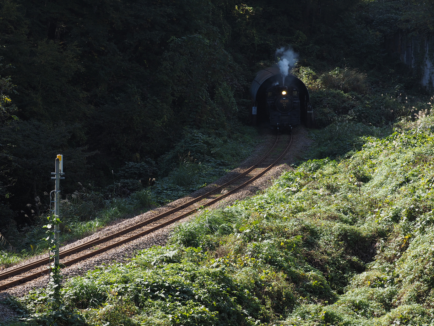 PA190269.jpg