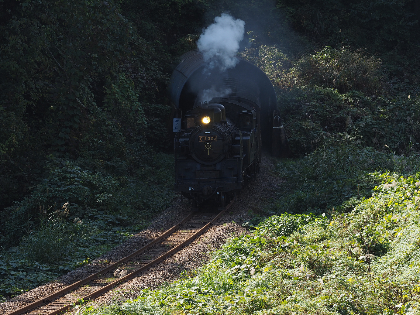 PA190274.jpg