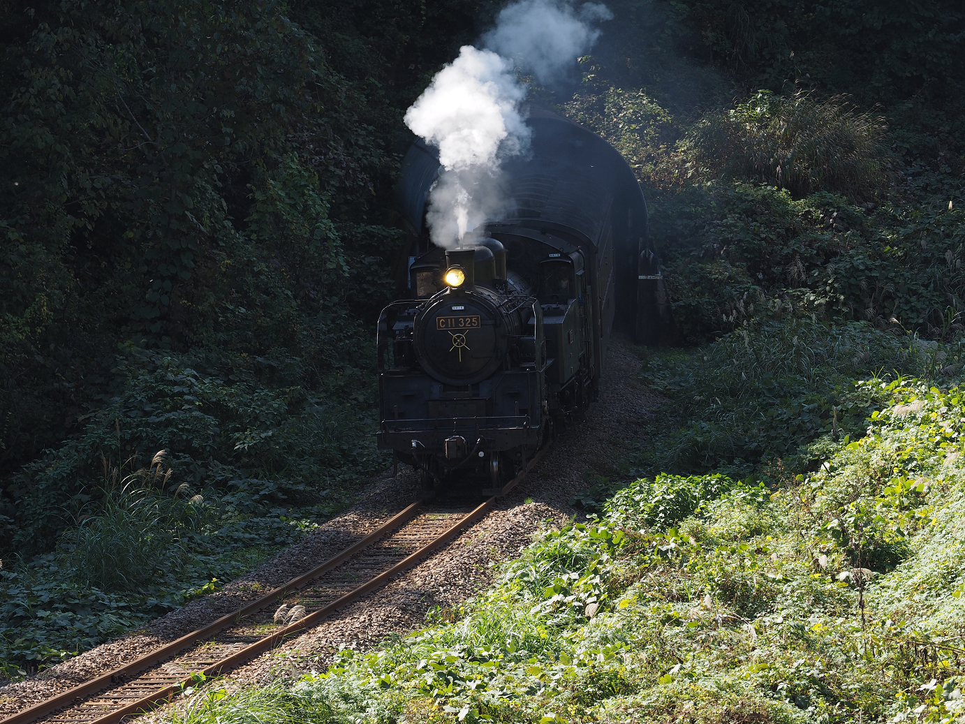 PA190279.jpg