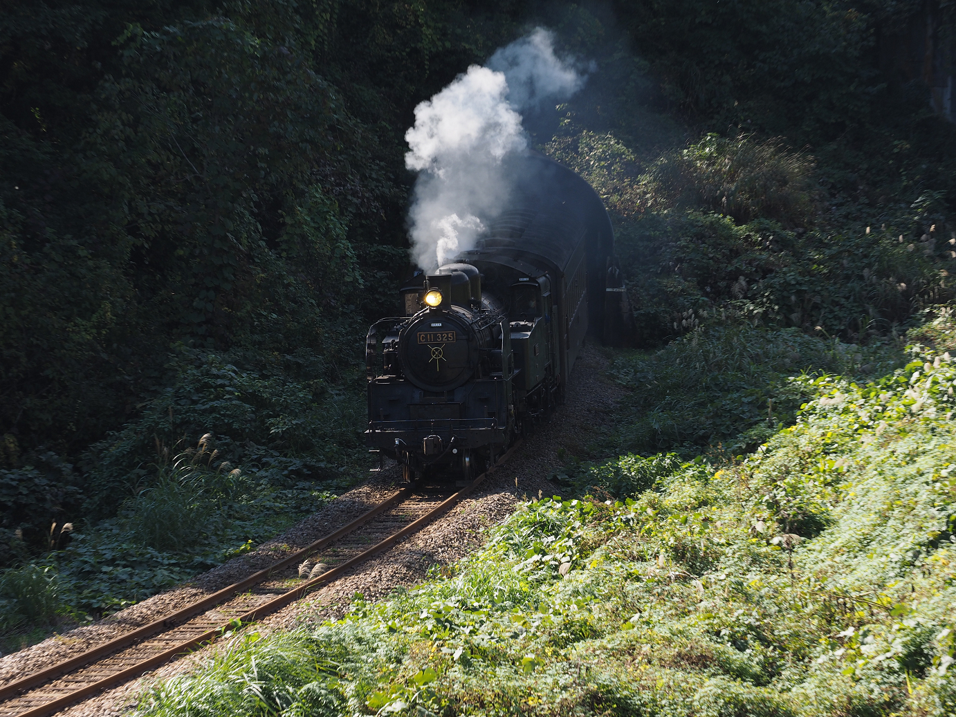 PA190282.jpg
