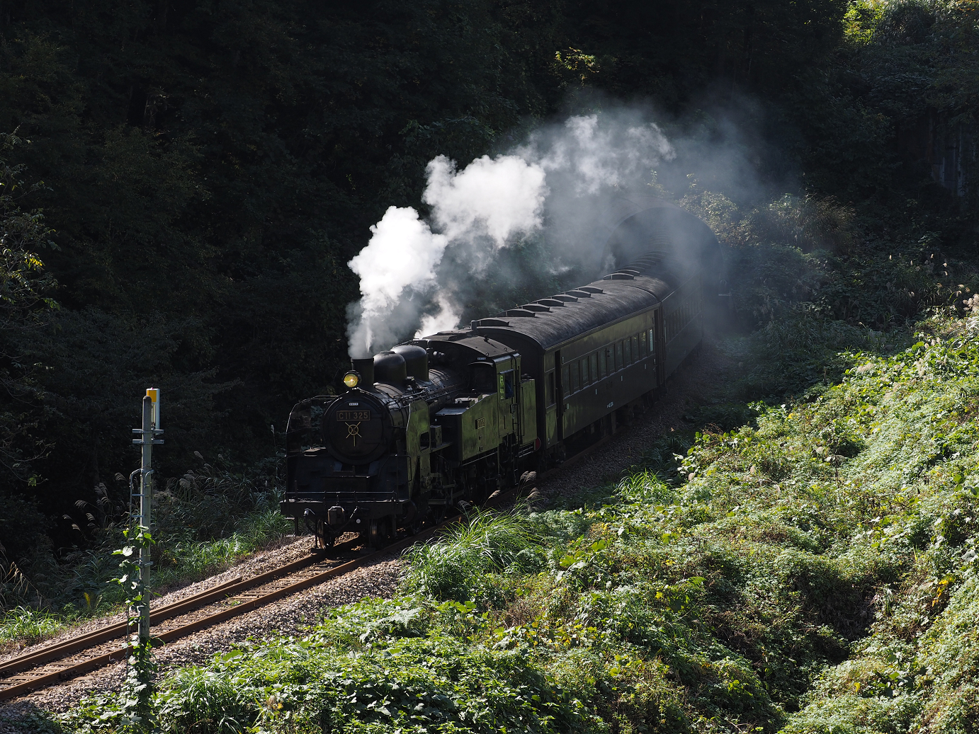 PA190286.jpg