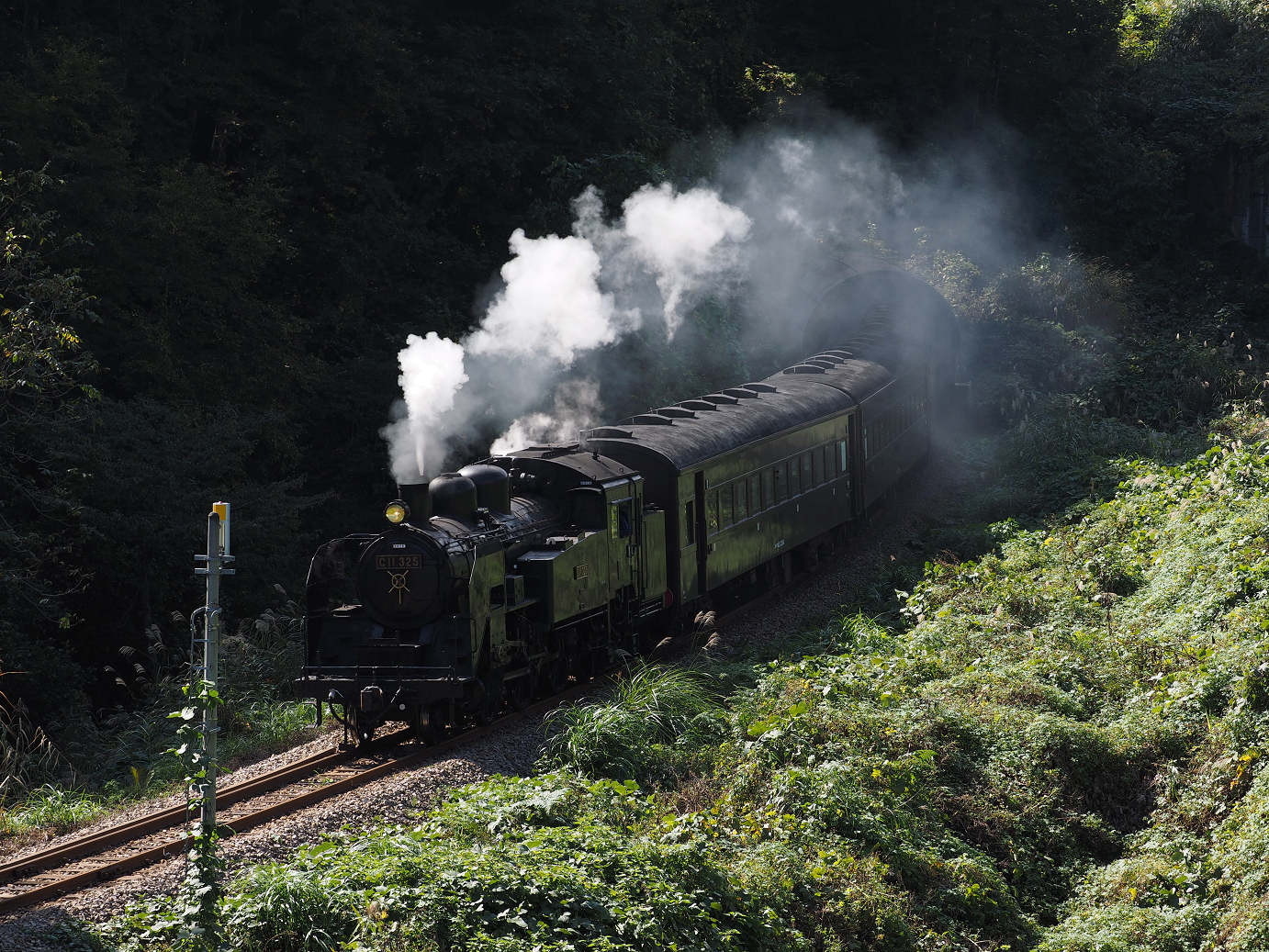 PA190290.jpg