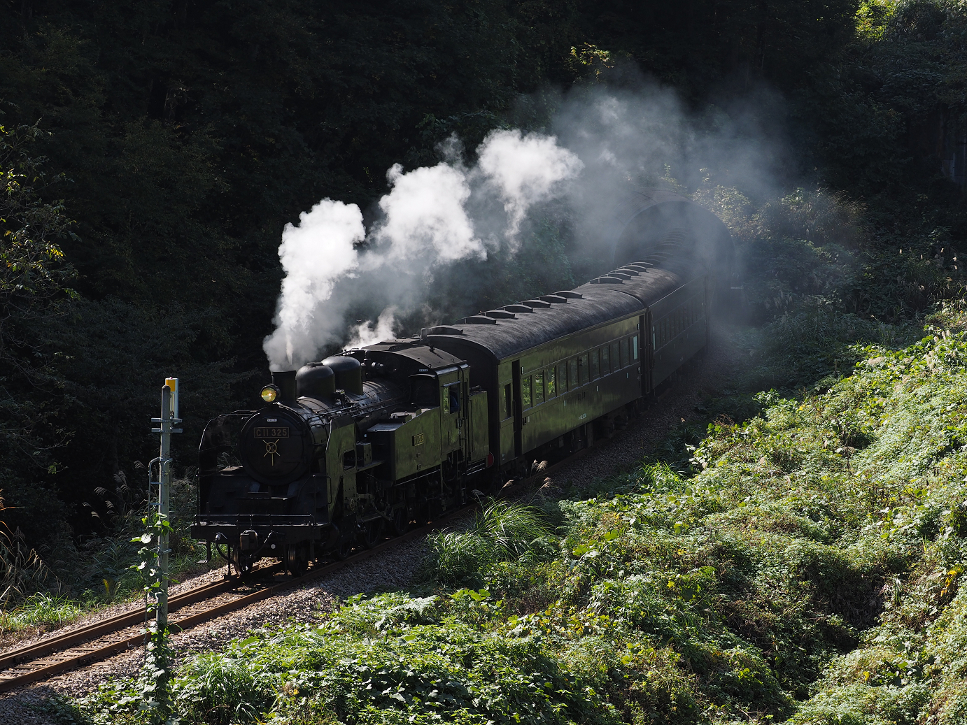 PA190292.jpg