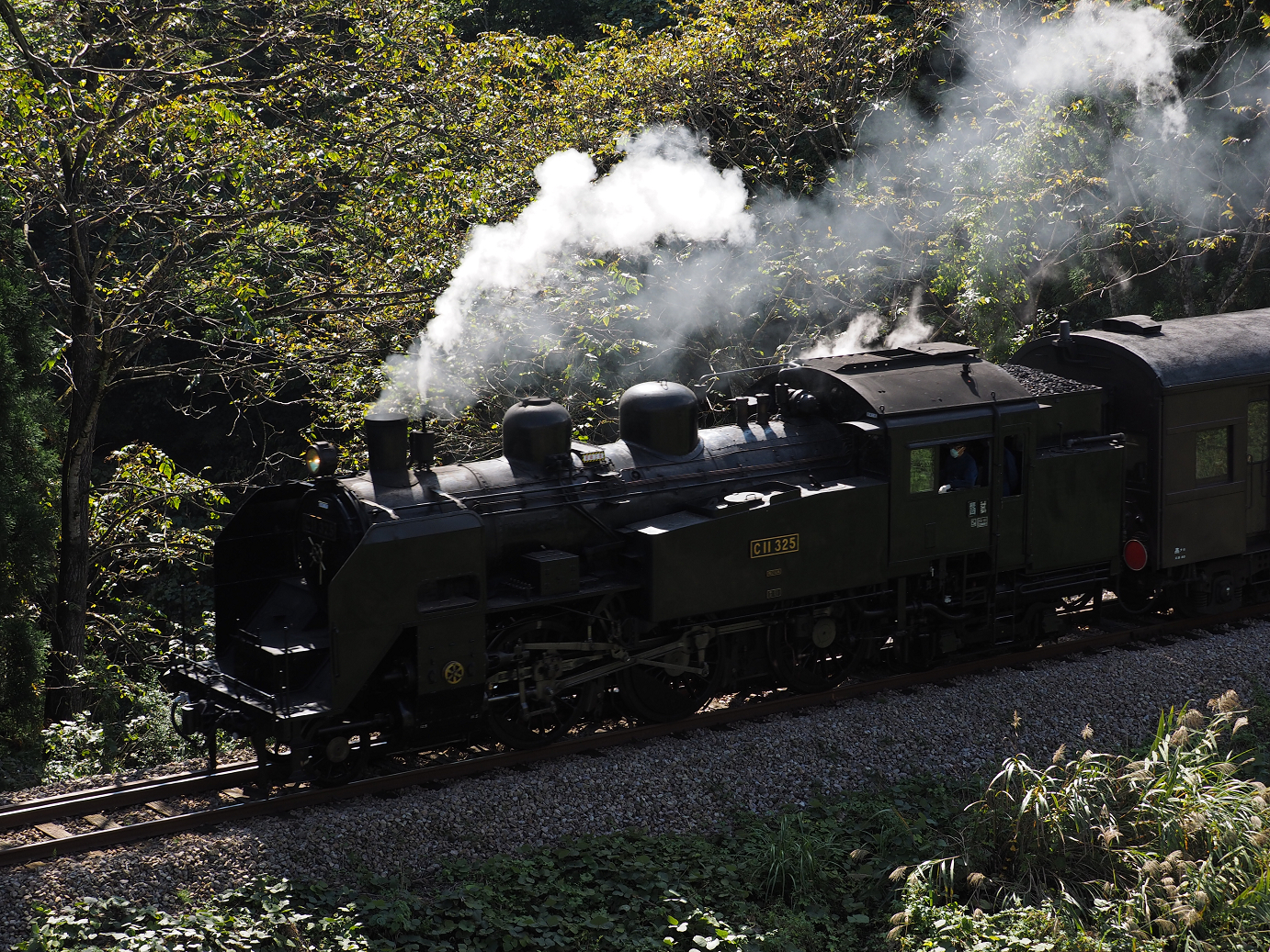 PA190300.jpg