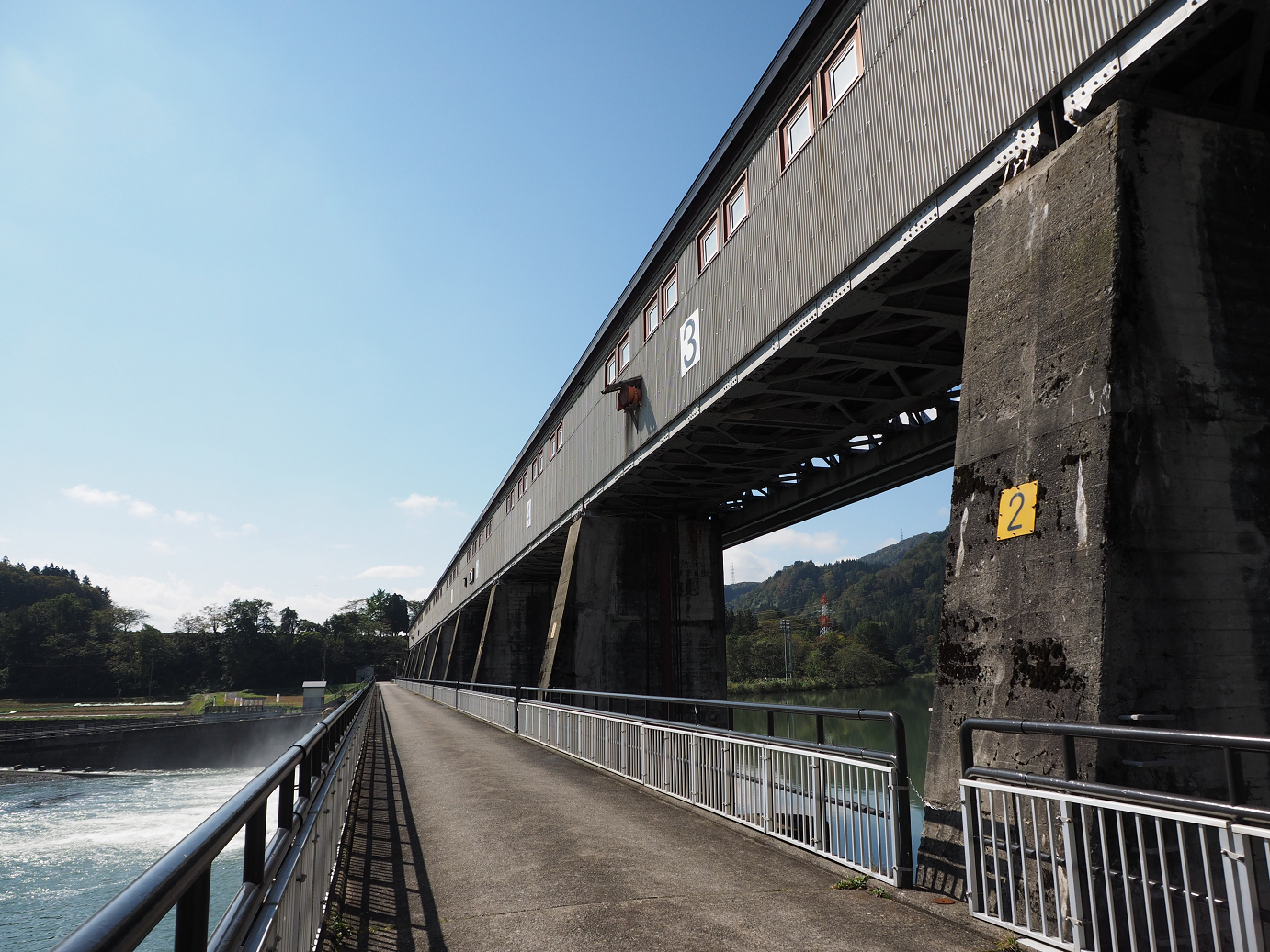 PA190310.jpg