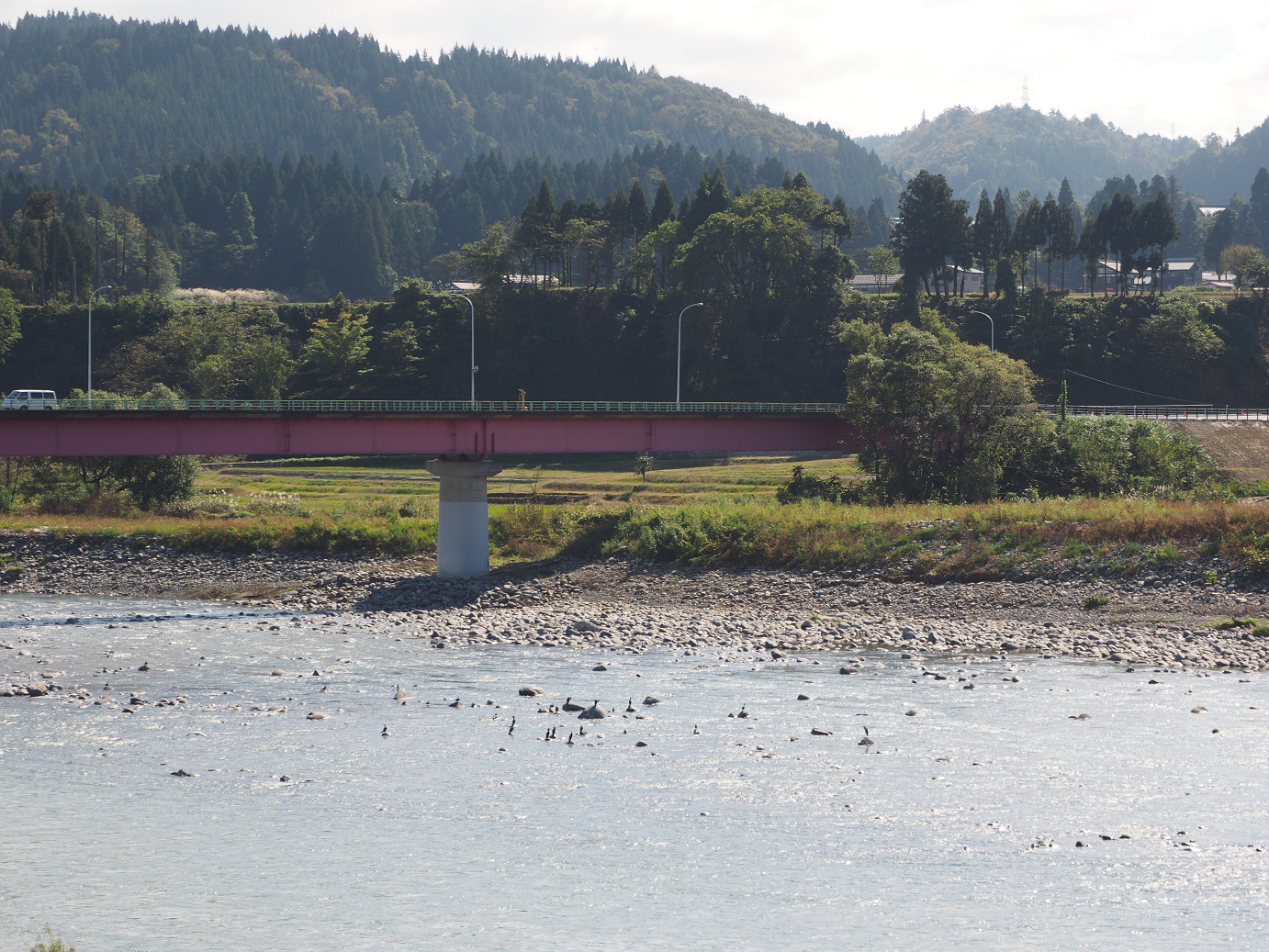 PA190319.jpg