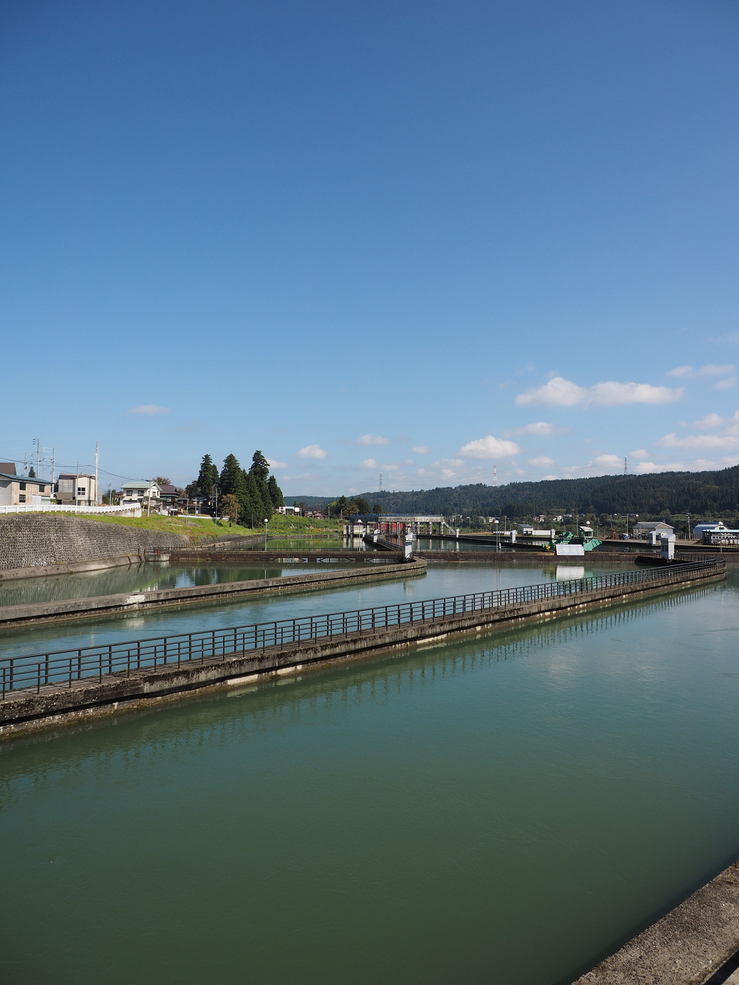 PA190323.jpg