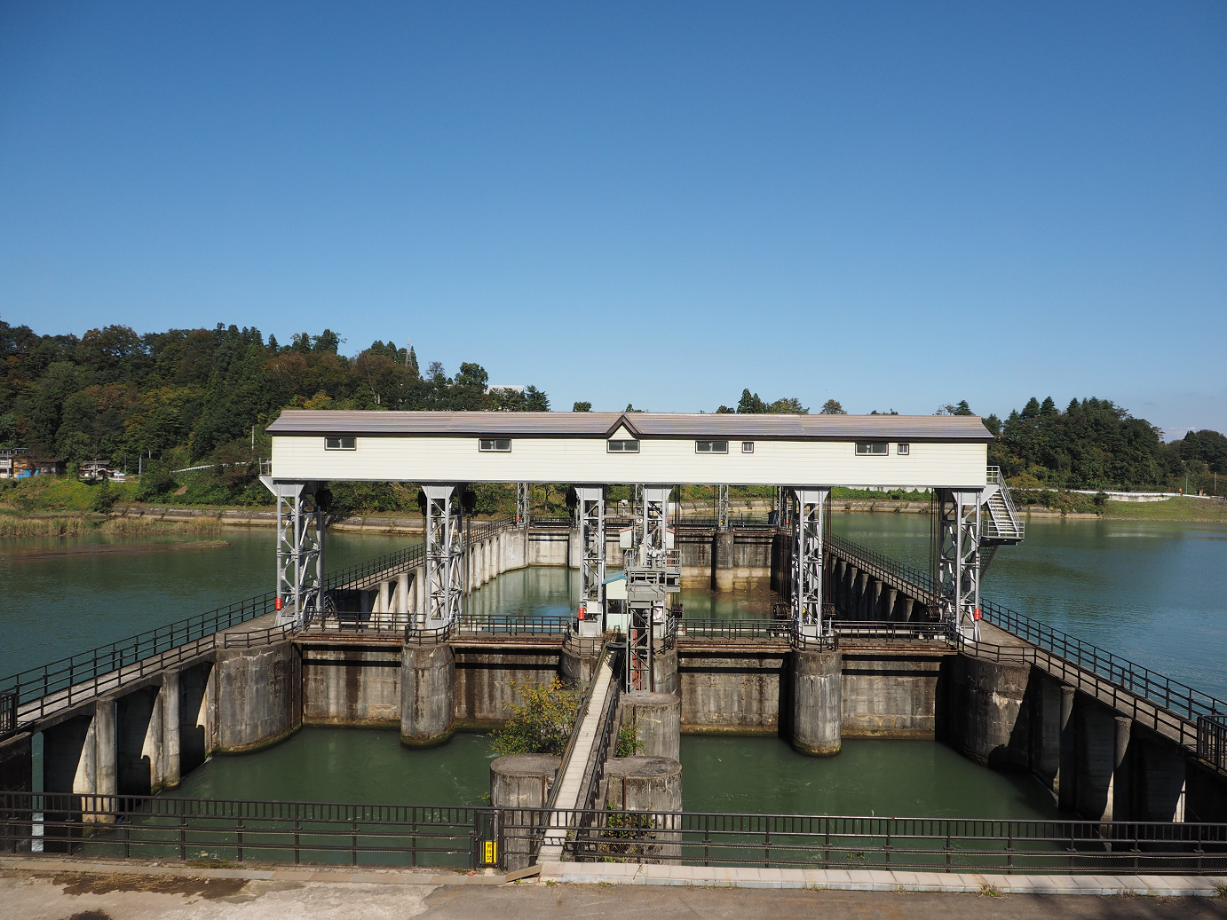 PA190329.jpg