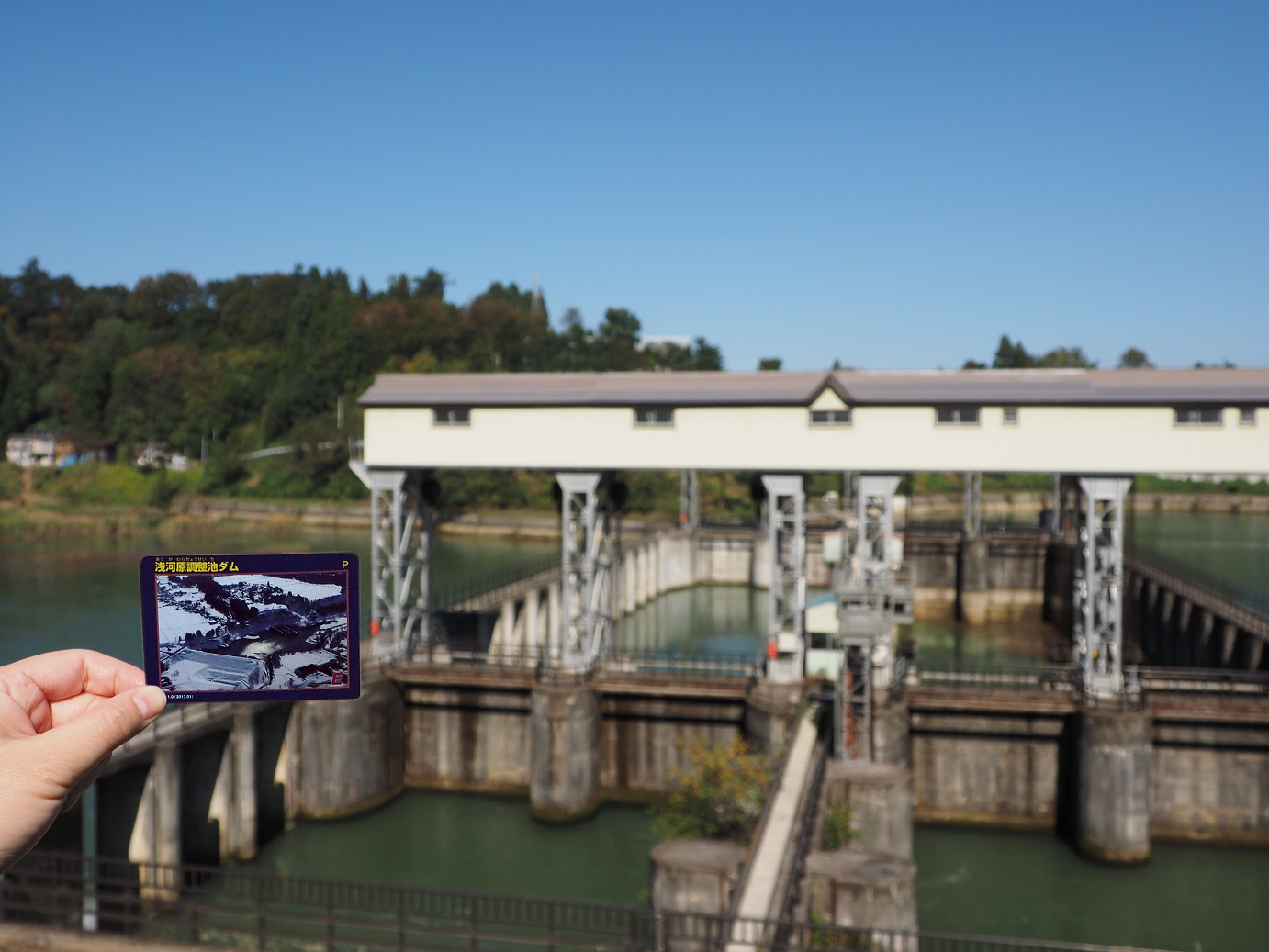 PA190332.jpg