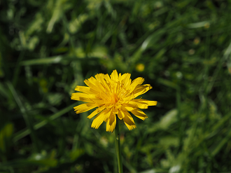 PA190344_thumb.png
