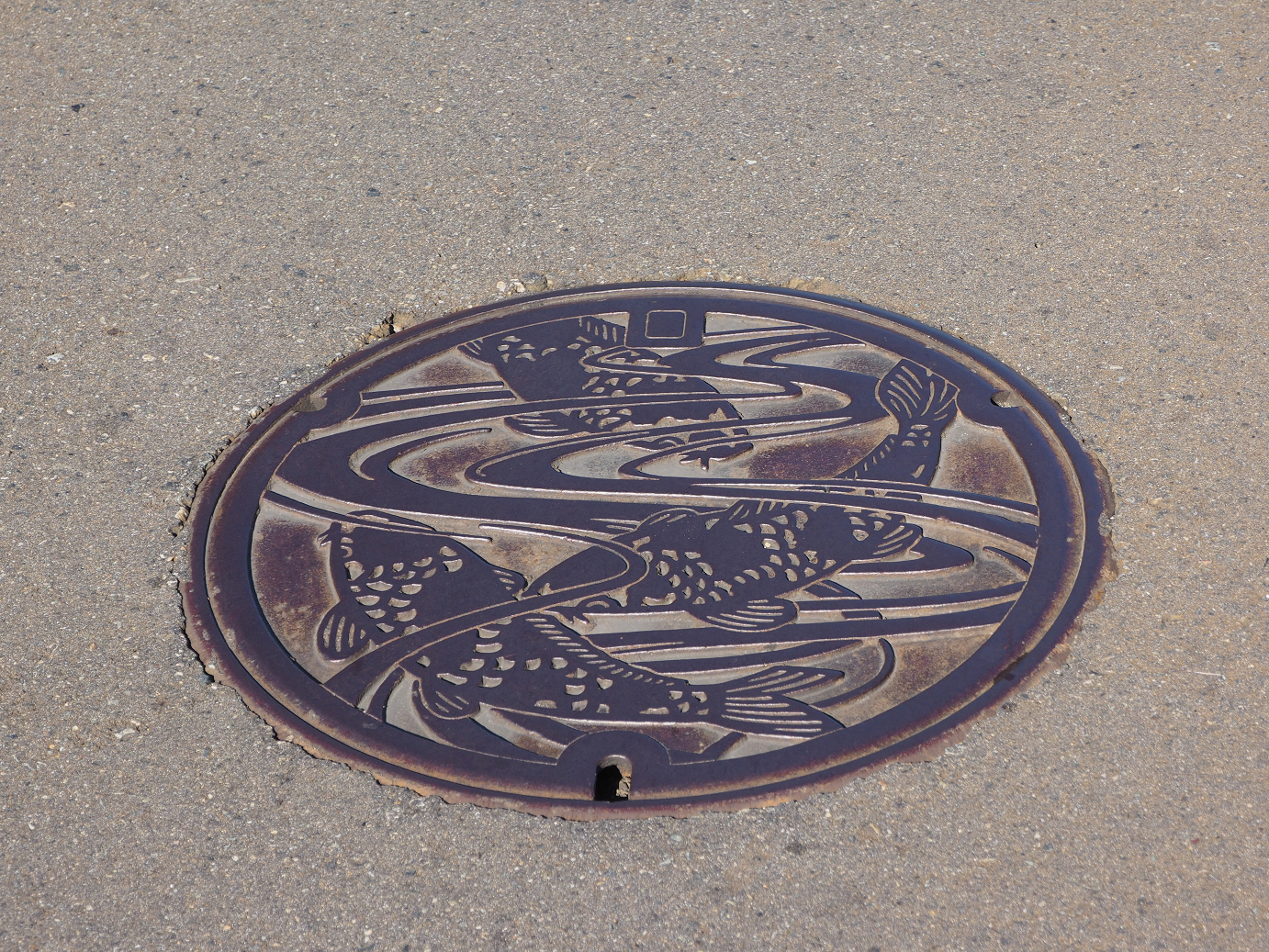 PA190356.jpg