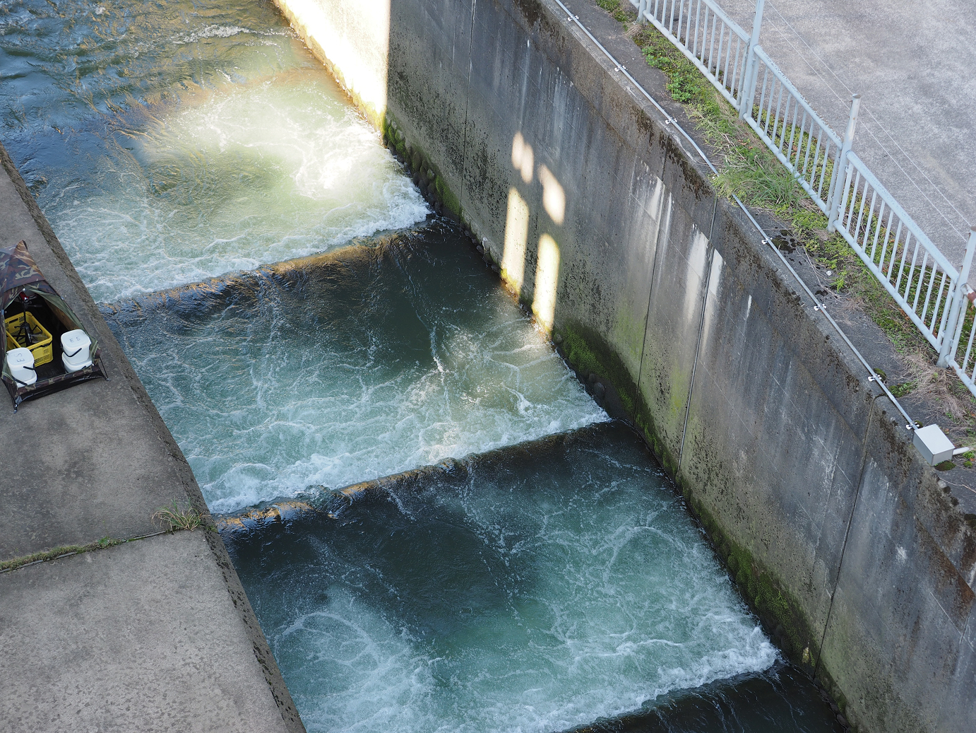 PA190361.jpg