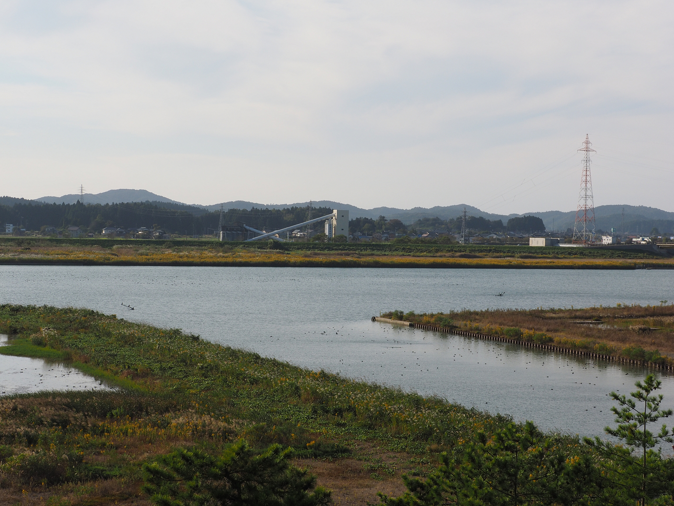 PA190369.jpg
