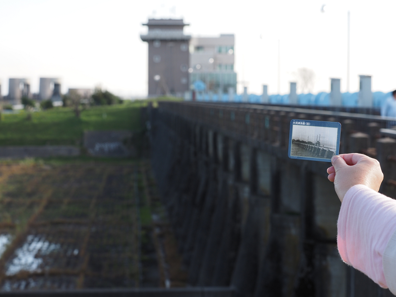 PA190378.jpg