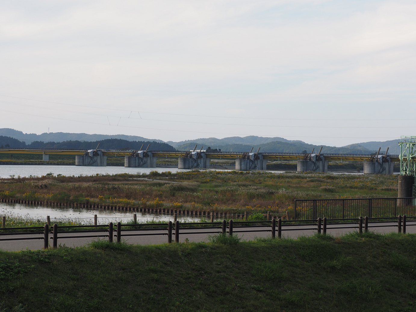 PA190383.jpg