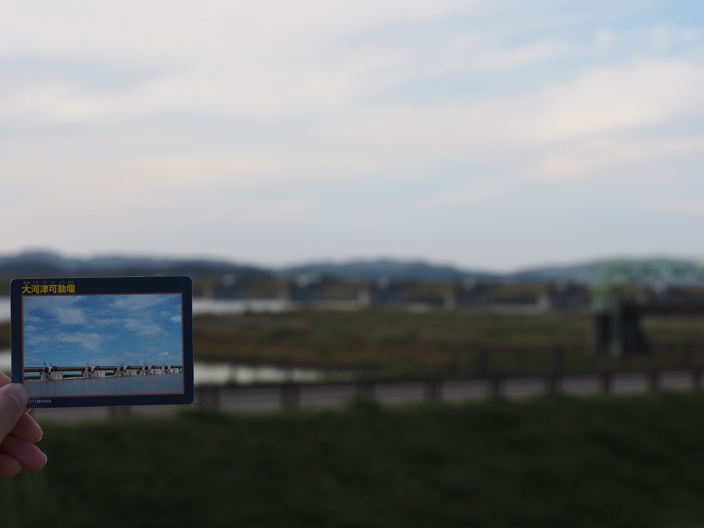 PA190385.jpg