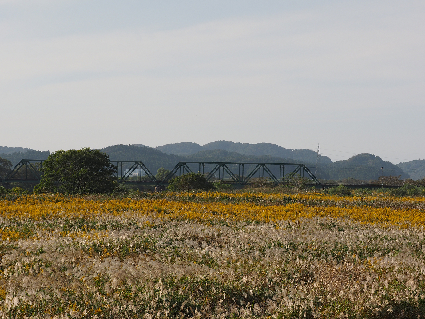 PA190389.jpg
