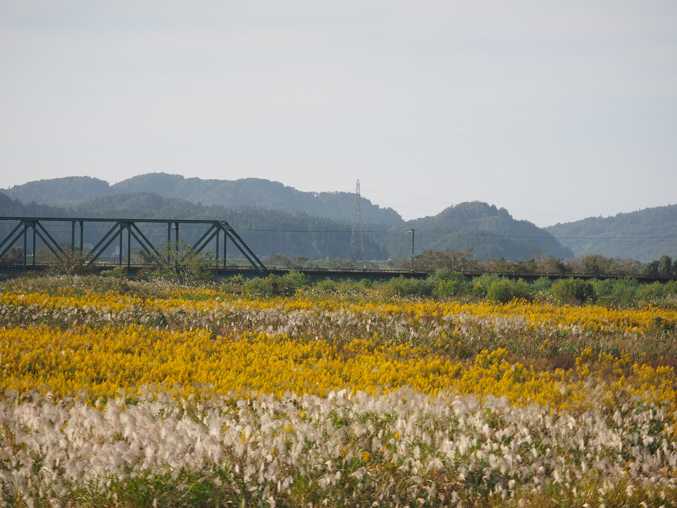PA190390.jpg
