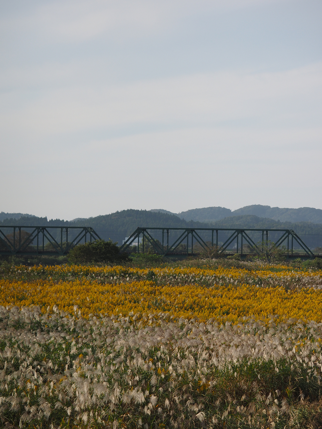 PA190395.jpg