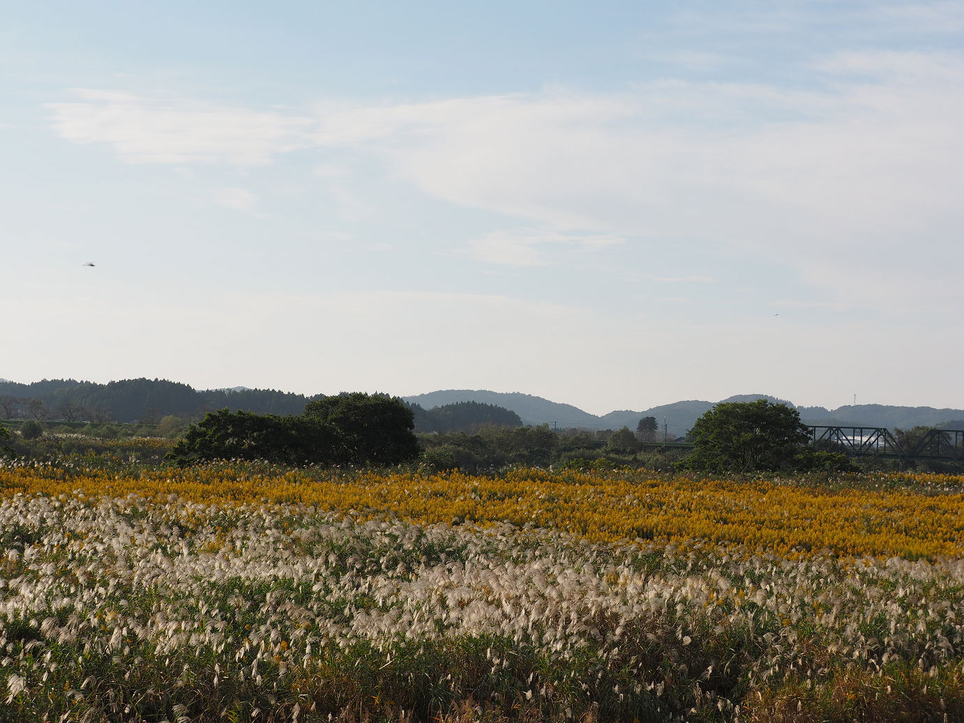 PA190398.jpg