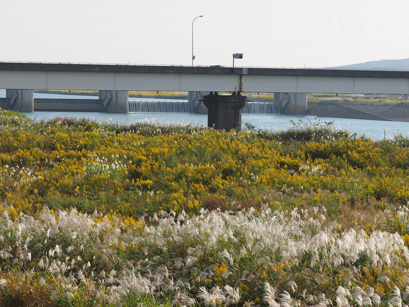 PA190399.jpg