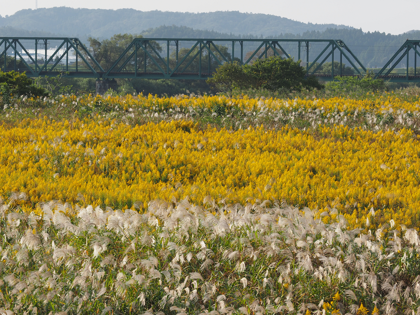 PA190400.jpg