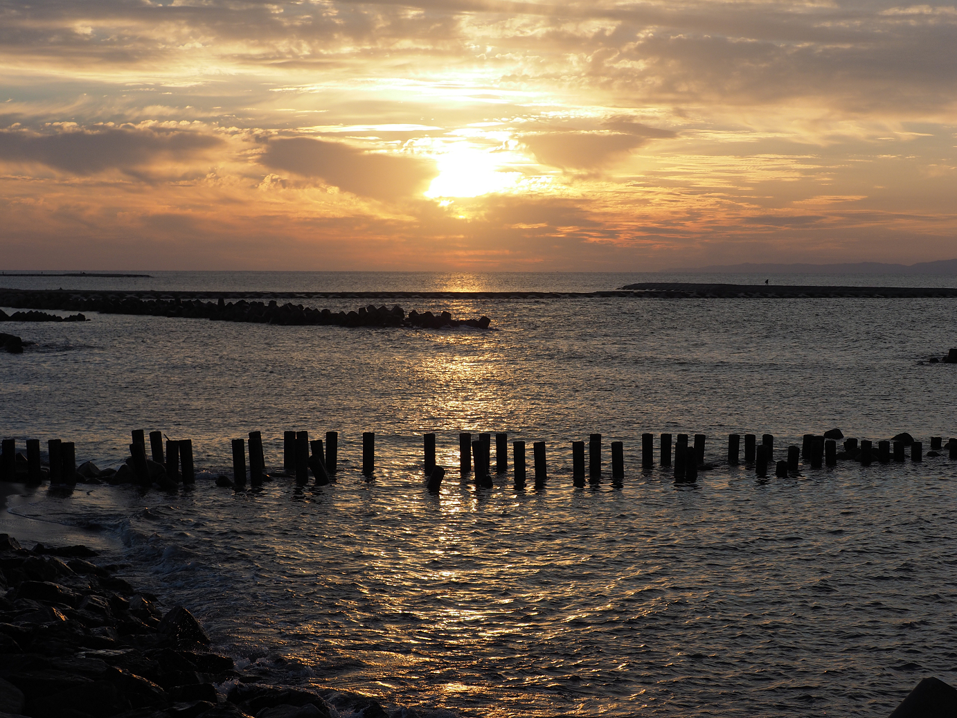 PA190426.jpg