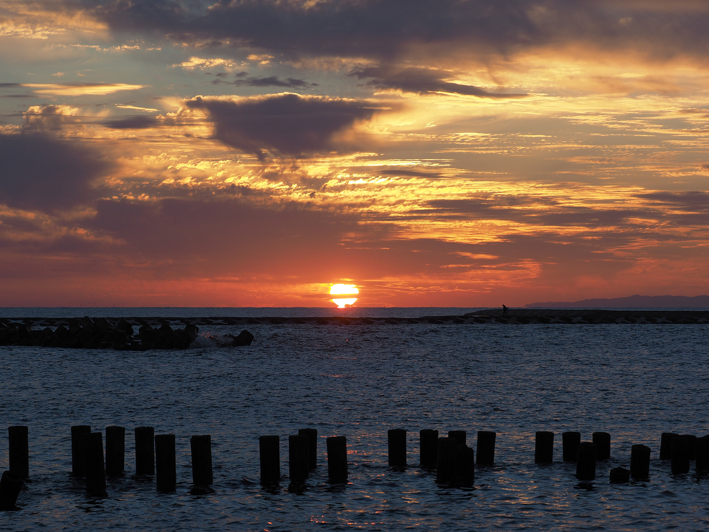 PA190447.jpg