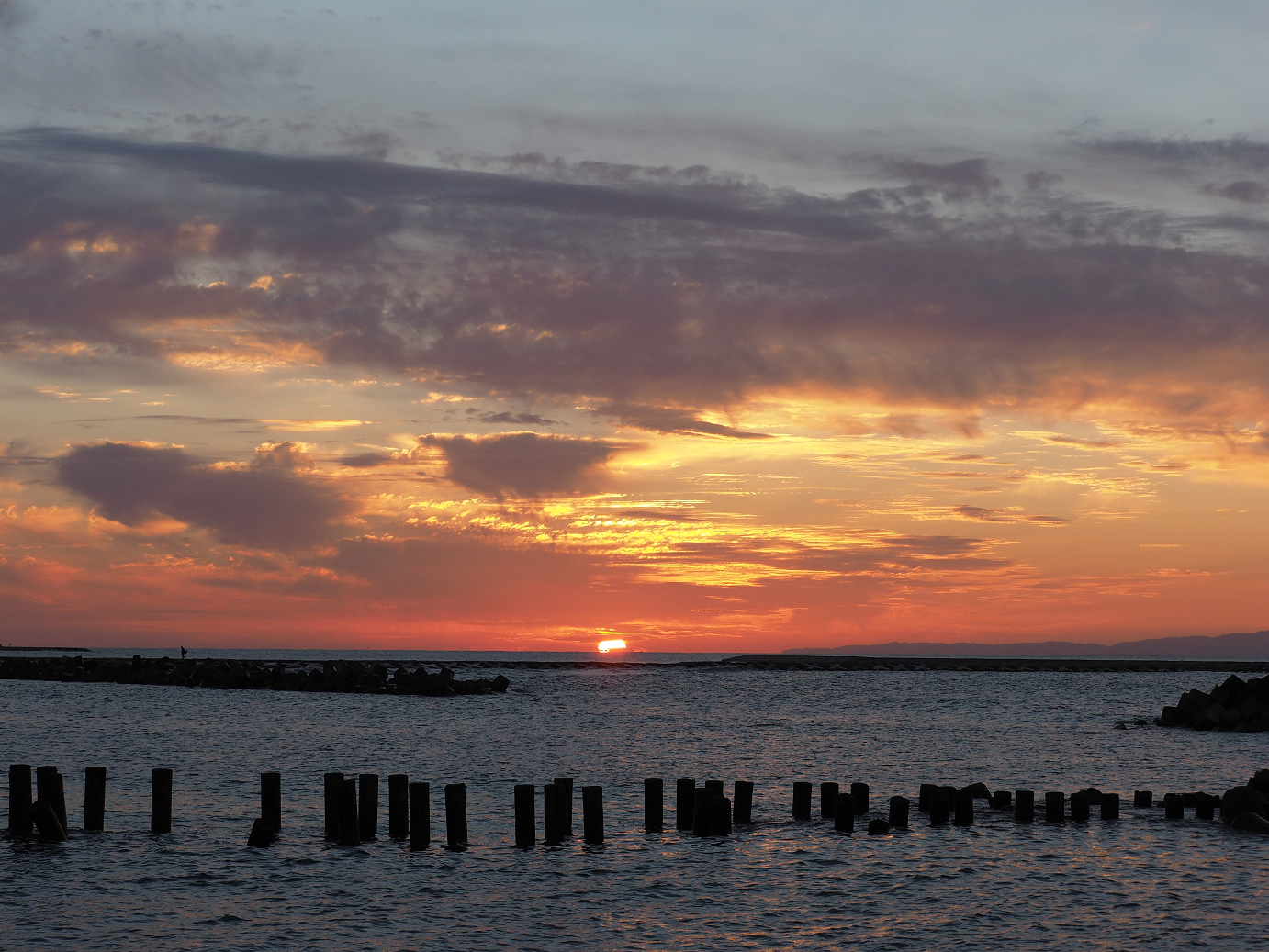 PA190459.jpg