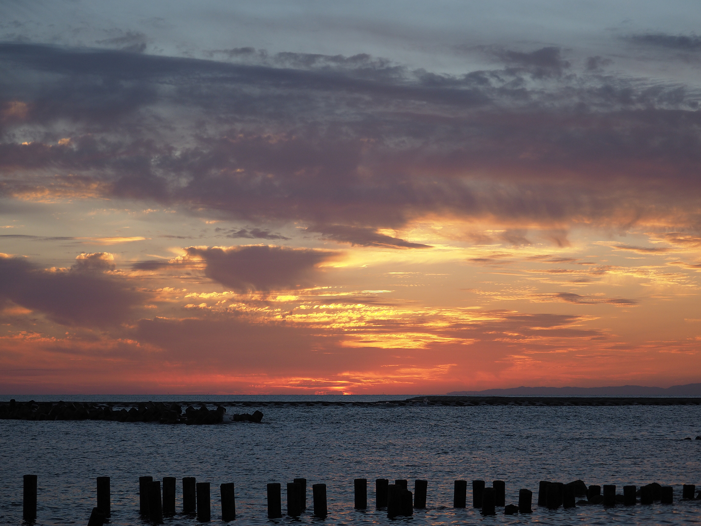 PA190465.jpg