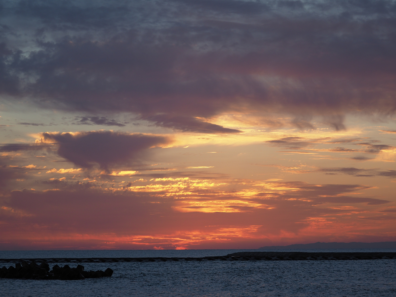 PA190469.jpg