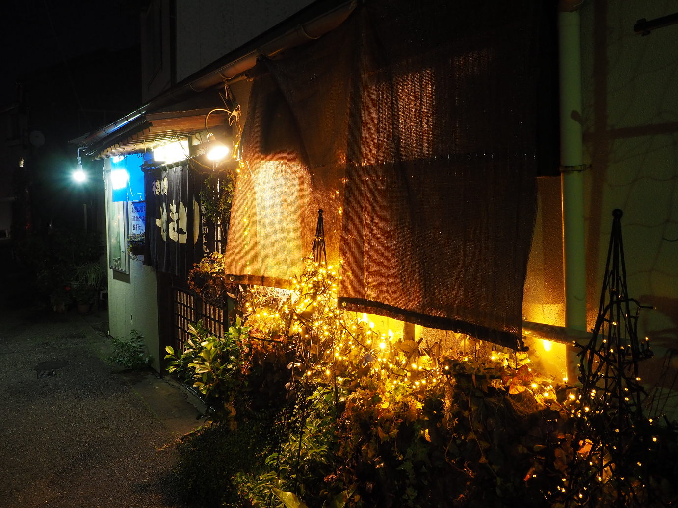PA190478.jpg