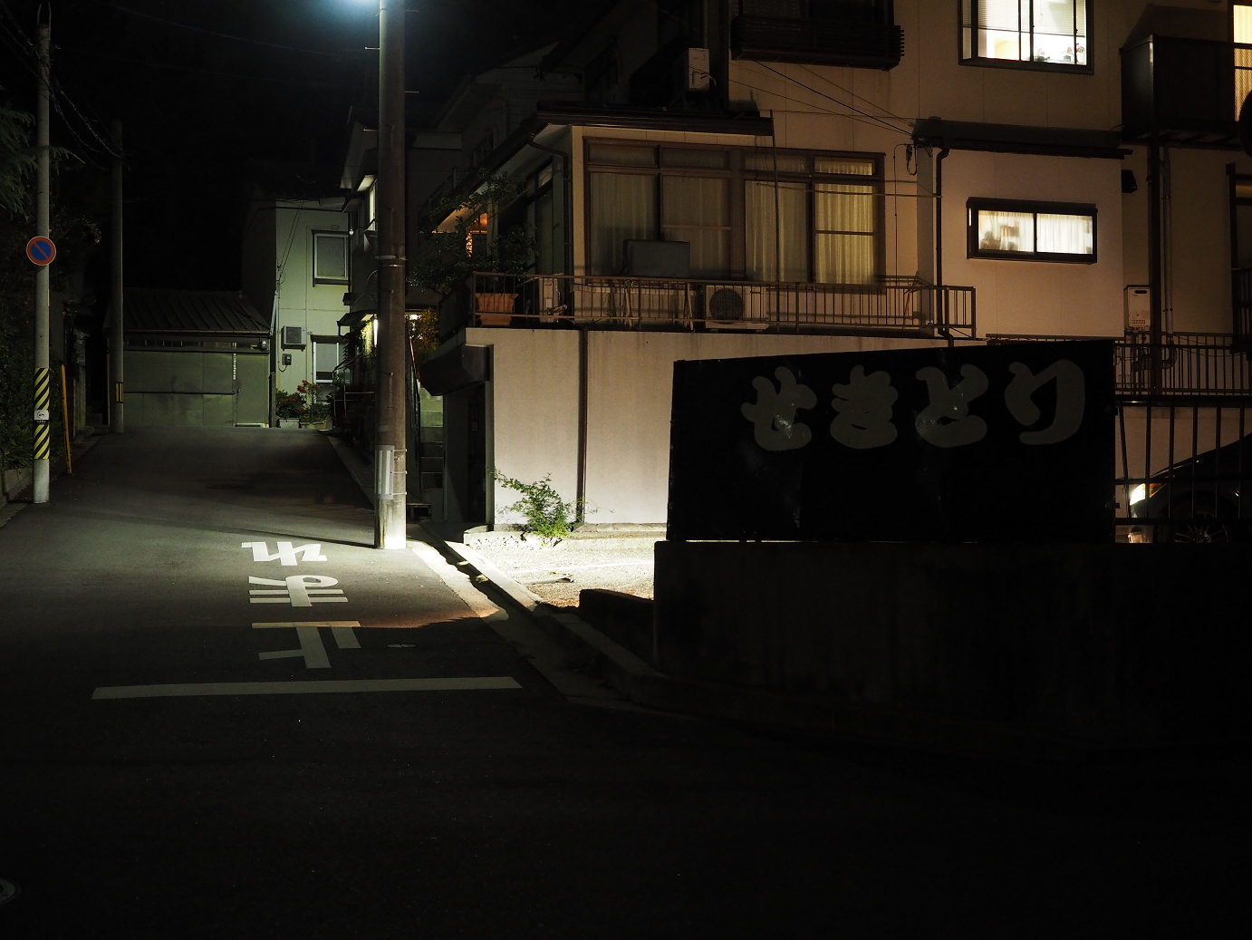 PA190501.jpg