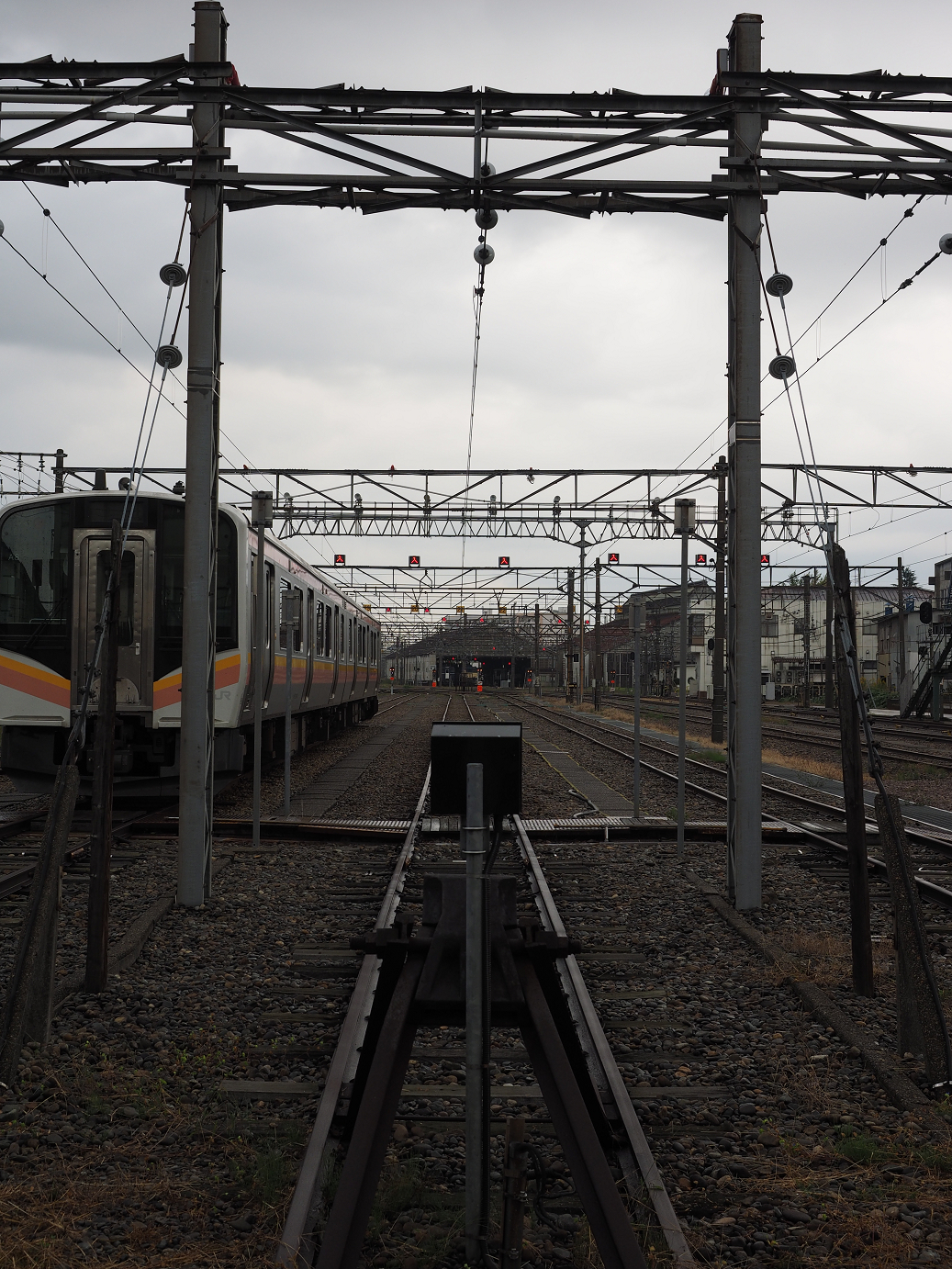 PA200519.jpg