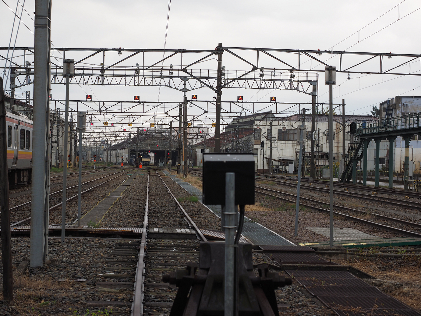 PA200520.jpg