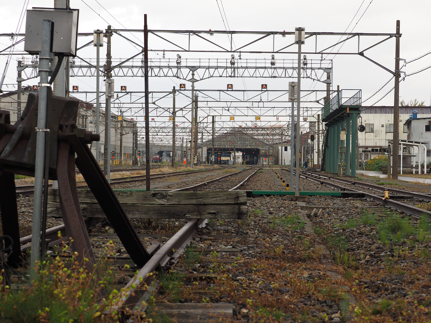 PA200530.jpg