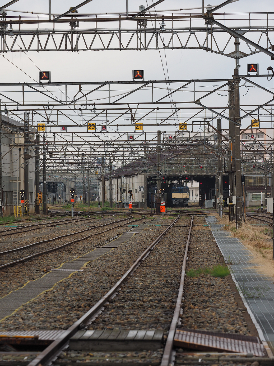 PA200548.jpg