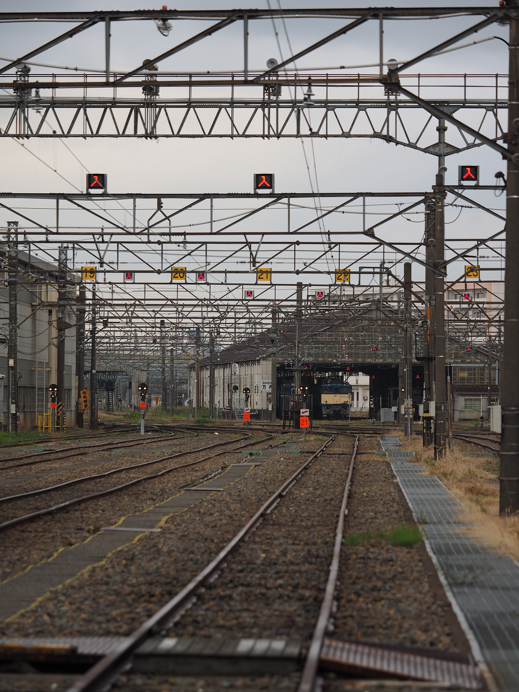 PA200549.jpg